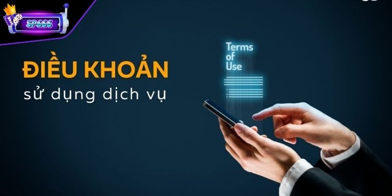 Lý do điều khoản sử dụng được thiết lập